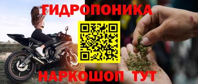 Альфа ПВП Краснознаменск